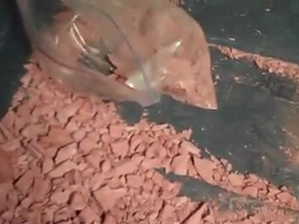 Clay used in the bottom of my 220 gallon planted tank