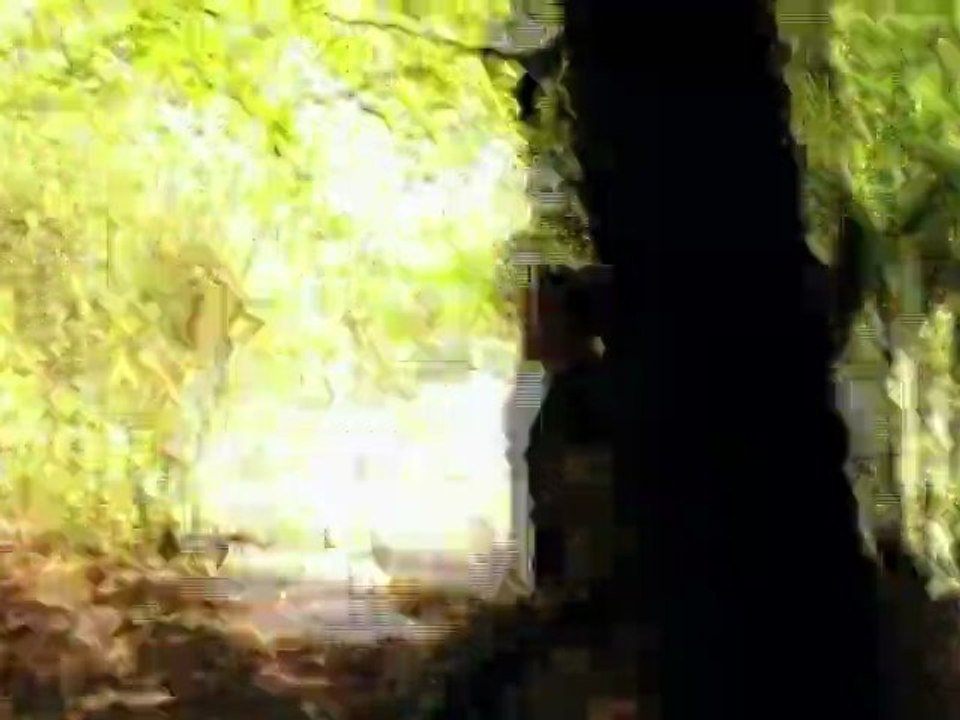 Making Of 1/3 THE FUGITIVE
