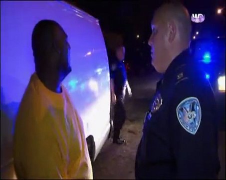 steven seagal : au service de la loi (3)