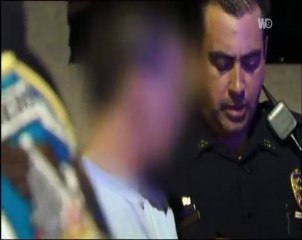 steven seagal : au service de la loi (5 et fin)