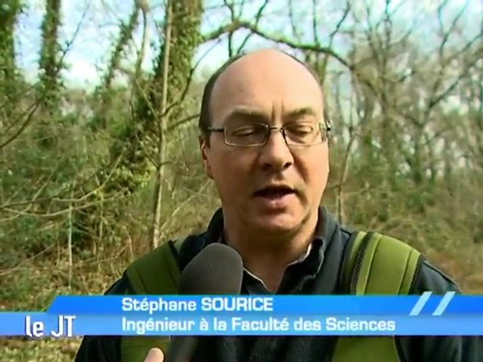 Savoir entendre chanter les grenouilles (Angers)