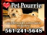 Pet & Dog Grooming Boca, Pet Pourrie, Boca Raton Dog Groome