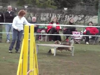 gpf bambou la rosiéres