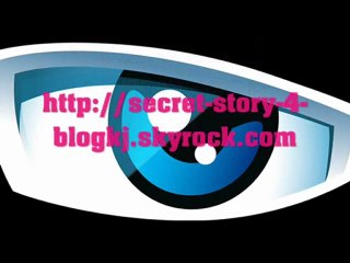 secret story 4 blog information