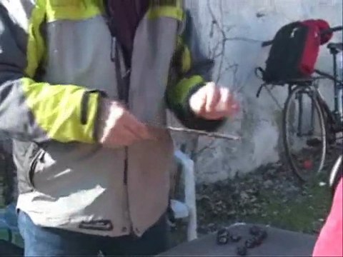 Taille et greffe d'arbres fruitiers aux Murs à Pêches