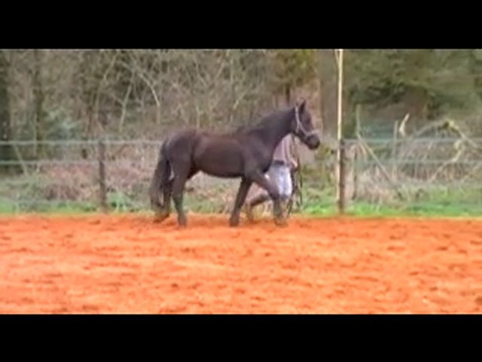 Axel du Breuil aux Biches