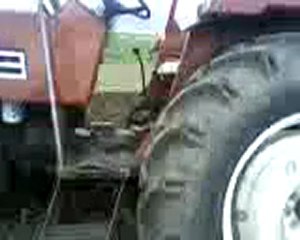 tümosan 60 60 tarla performansı