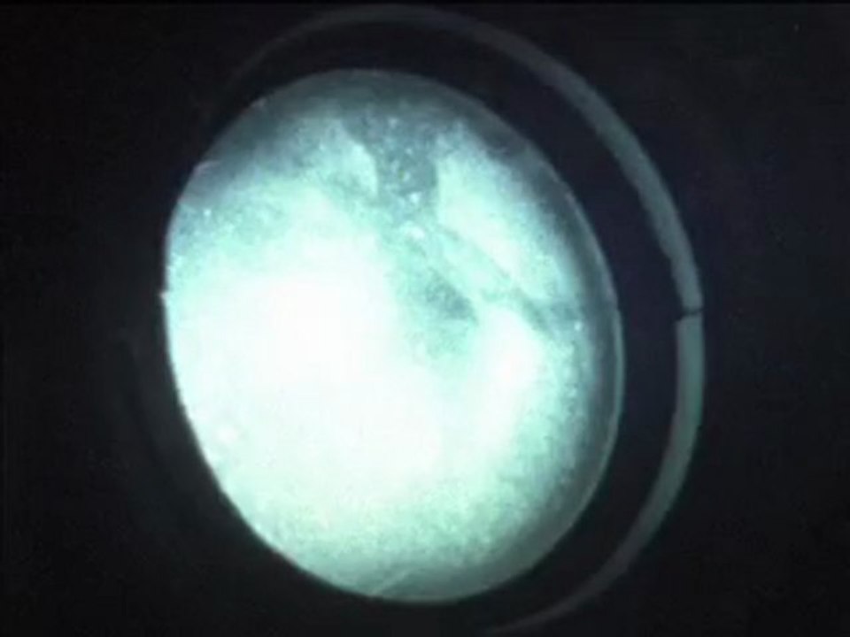 Fortuna - Less Is More