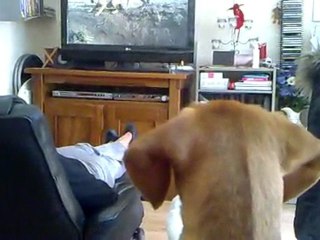 elfy regarde la télé