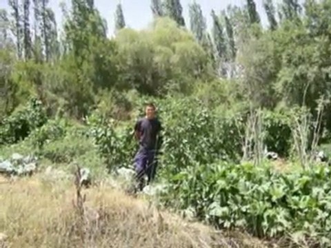 BURDUR TEFENNİ CAYLI KÖYÜ' ünden genel görüntüler