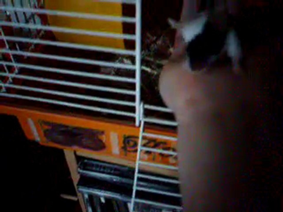 Ma tite Thelma