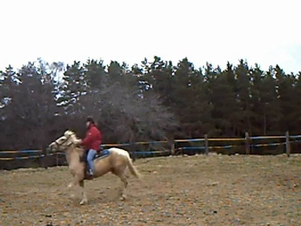 okapi monté seul 2_0001