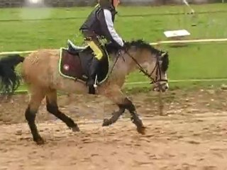 Emma et Reflection obst 31 mars 2010