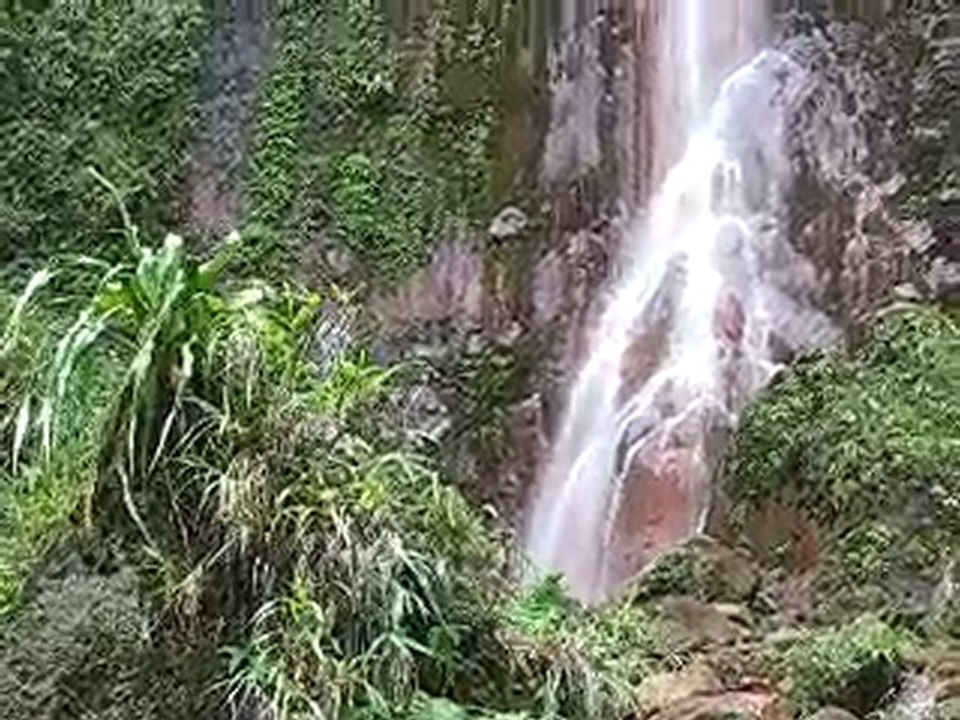 Les chutes du Carbet