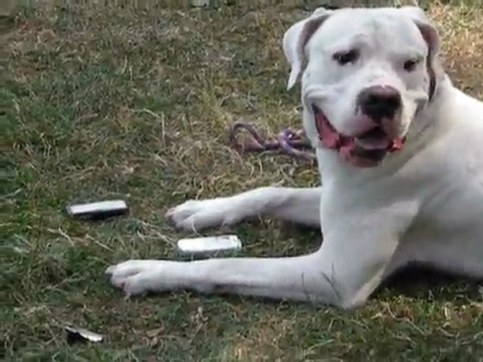 Un appel téléphonique pour Condor