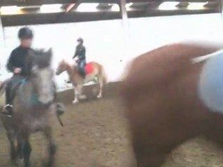 bonne cavalière et brave jument  princesse 3 ans