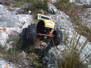 montage photos de nos crawler