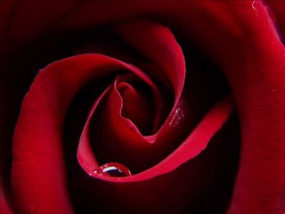 feyzullah koç Anam www.canmedinem.net video ilahivideo izle