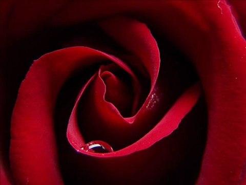 feyzullah koç Anam canmedinem.net video ilahivideo izle