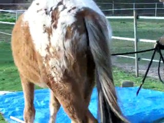 Titi et la bâche 2ème passage, on peaufine