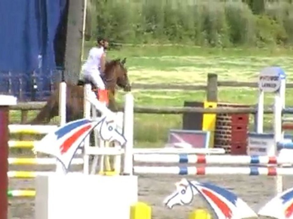 Paelle de Banalou - Jument 7ans (Dollar du Murier x Tanael)