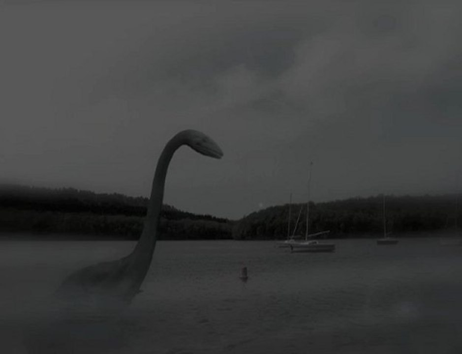 Un monstre marin aux Vieilles Forges ?