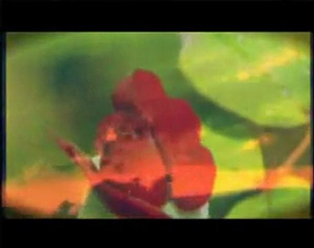 Muzaffer Gürler canmedinem.net Ya rasulellah videoizle