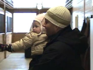 Hens Horses Ali, Chester