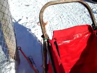 Granja de perros en Finlandia