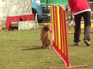 gpf  bret  la rosiéres