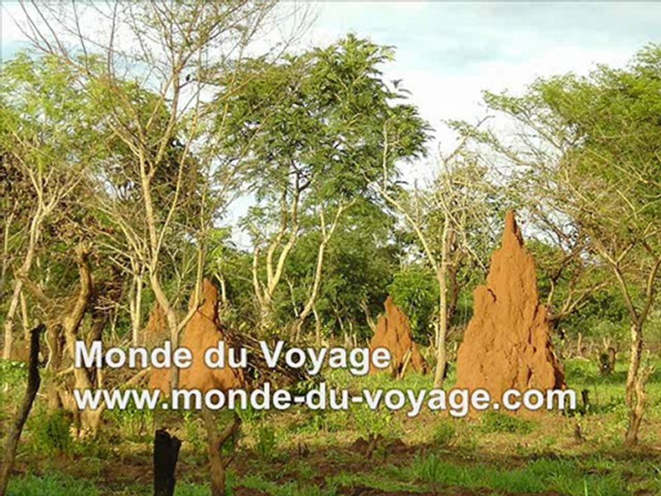 Voyage Guinee Bissau