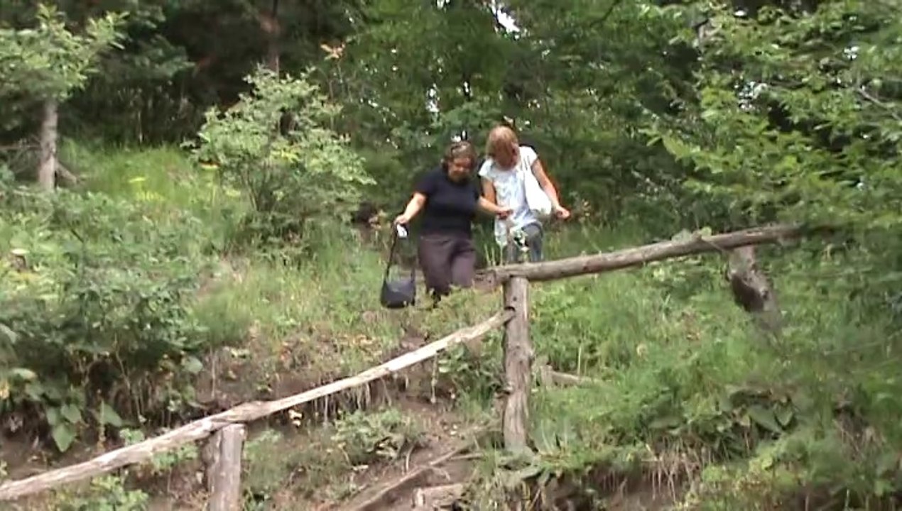 Bolu Yedigöller Doğasına Gidiş Ve Dönüş