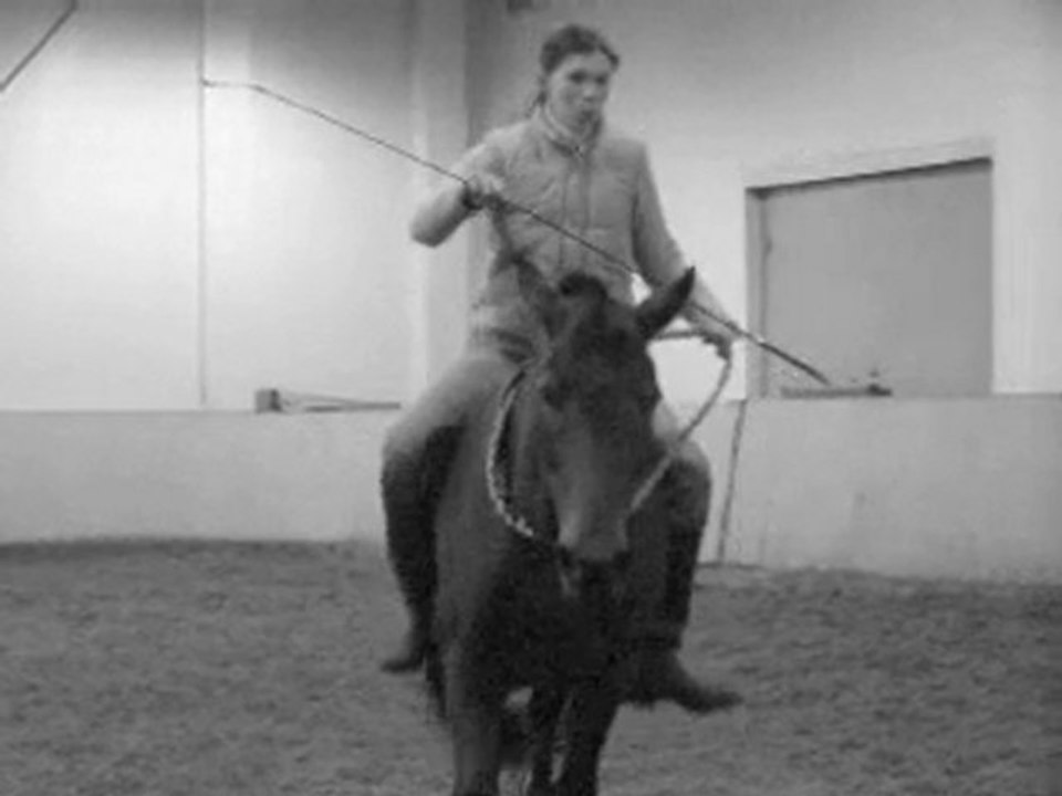 Lovely_horse