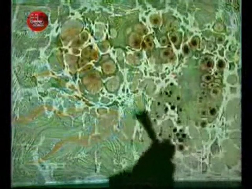 Ebru Sanatı Eşliğinde Karga İle Bülbül'ün Hikayesi