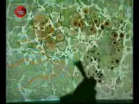 Ebru Sanatı Eşliğinde Karga İle Bülbül'ün Hikayesi