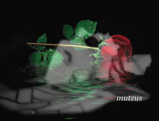 Bu Şiir Sanadır_ Şebnem Kısaparmak