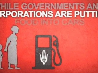 ActionAid's campaign against biofuels - explained