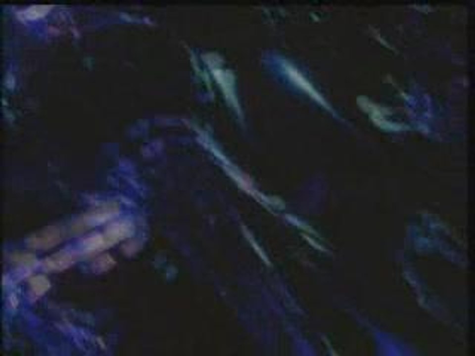Livin' Joy - Dreamer