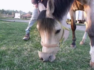 mon cours d'équitation aujourd  hui le 13 avril7