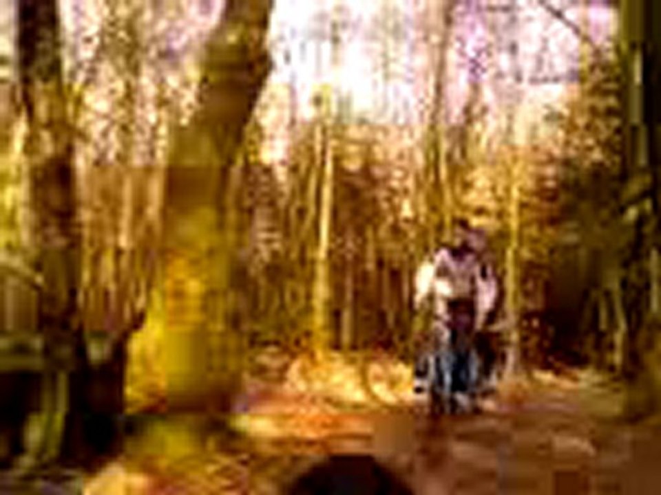 vtt en folie dans les bois