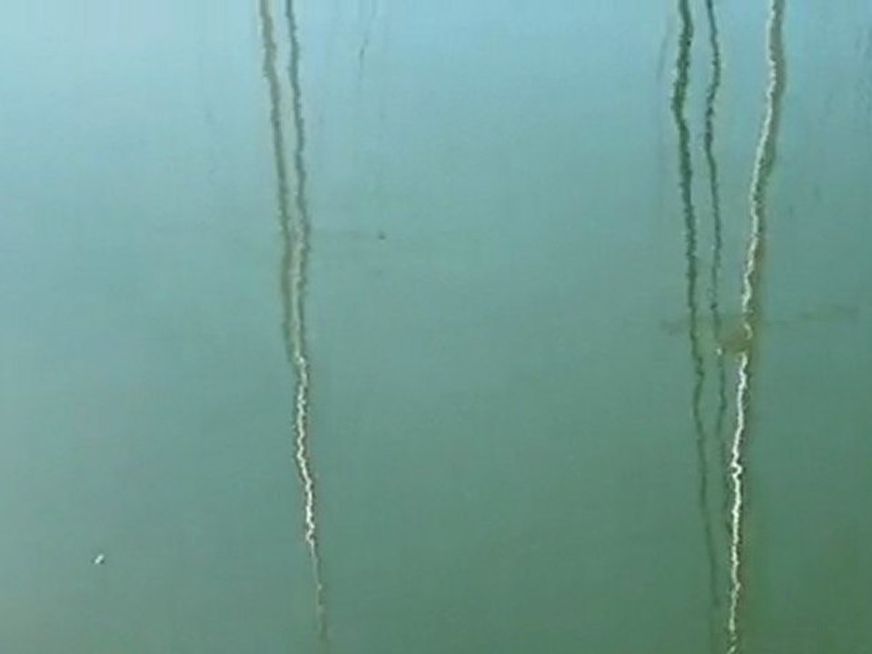 UNDER THE BRIDGE
