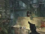 Call Of Duty WaW Zombie Nazi Video Detente