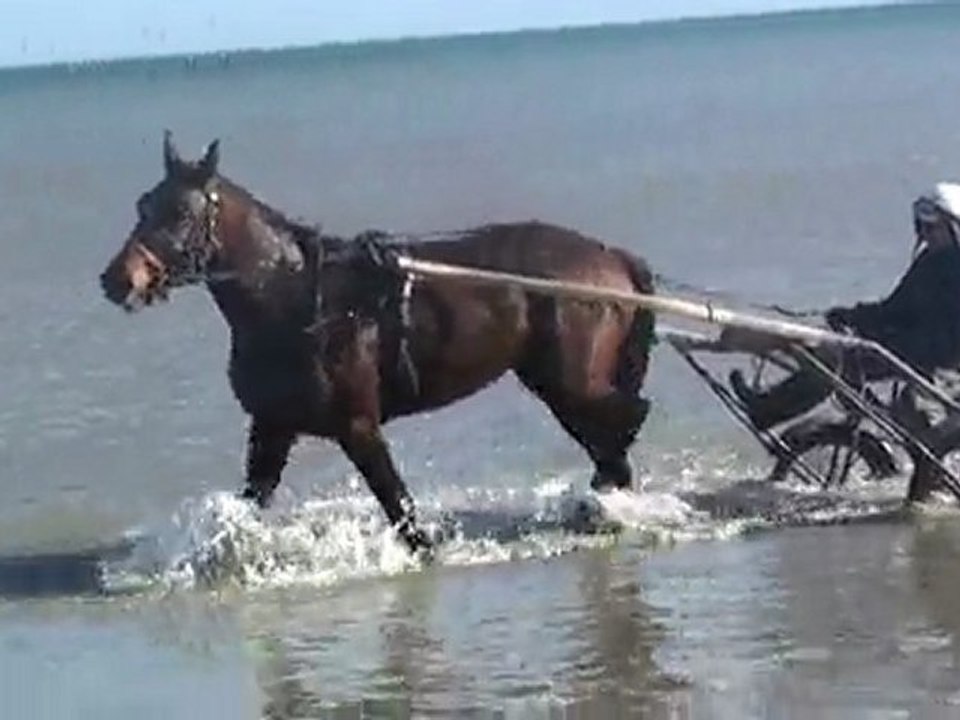 TOUNDRA EN DECONTRACTION