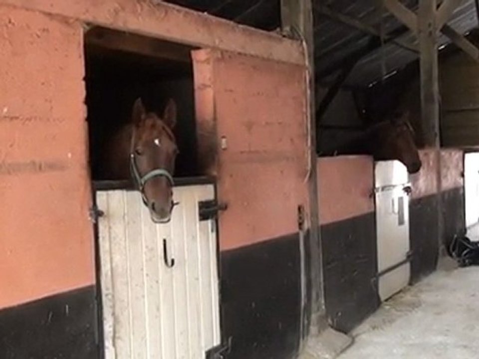 BOX A L ECURIE LES TILLEULS