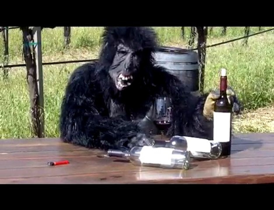 Titus Vineyards April Fools 2010