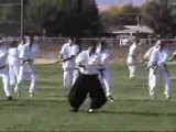 Hitohiro Saito - Dento iwama ryu Aikido