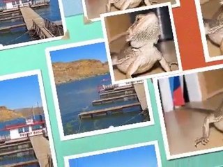 Dragons of Asgard, A Sci-Fi Fantasy, Trailer