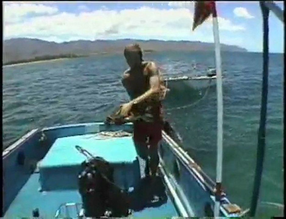 Deep Ecology, Animal Planet