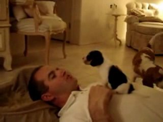 Funny Video - Howling Puppy