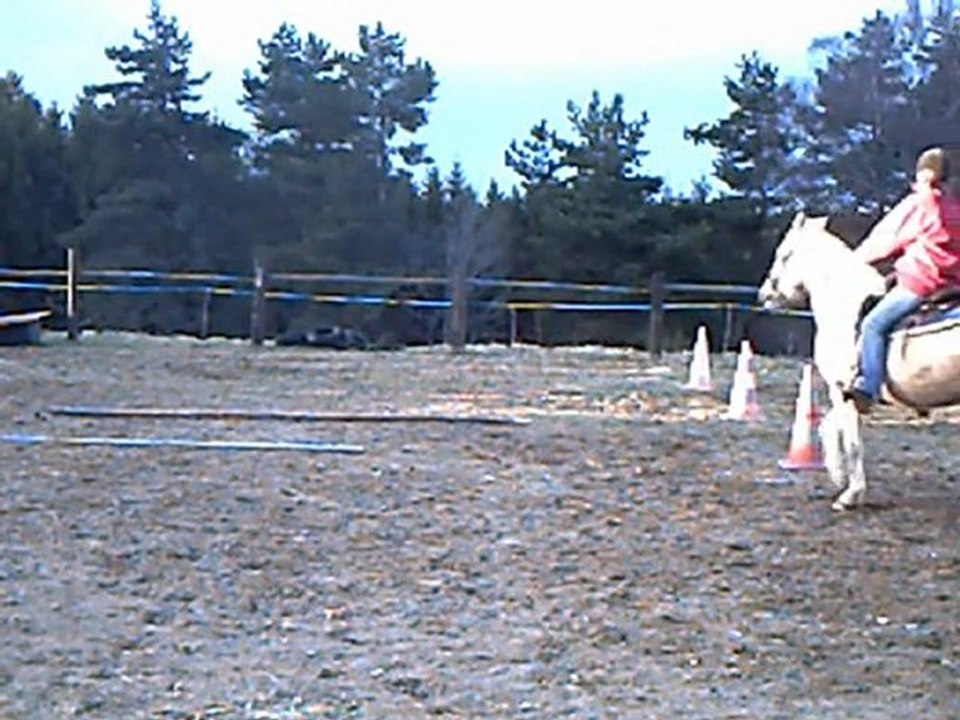 okapi monté seul 3_0001